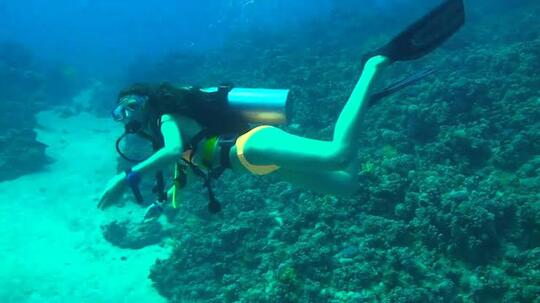 Hati-Hati Perbuatan Asusila Ketika Sedang Diving
