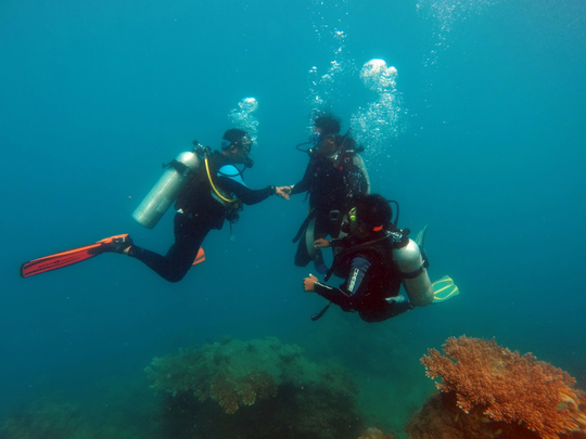 Hati-Hati Perbuatan Asusila Ketika Sedang Diving