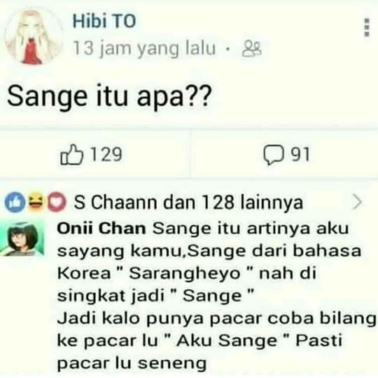 Bahasa Korea Nya Aku Sayang Kamu Mudah