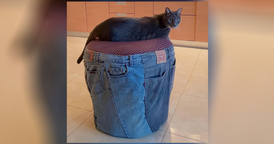 Banyak Barang Bekas Menumpuk Di Rumahmu? Coba Olah Menjadi Barang Baru yang Unik Aja!