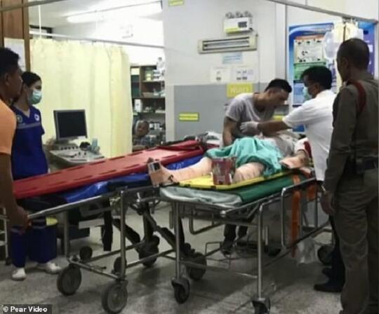 Niat Hati Sehidup Semati, Eh Malah Disuruh Mati Duluan.