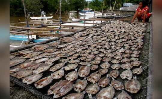 "Buka, Ikan Asin, Tutup Lagi"