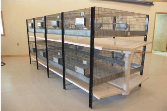 Cara Membuat Kandang Kelinci Sendiri Yang Bersih Dan Sehat Kaskus