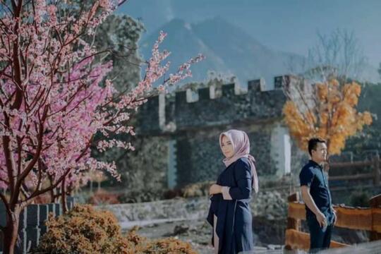 7 Tempat Wisata Di Indonesia Dengan Spot Bunga Sakura Cantik 7 Tempat Wisata Di Indonesia Dengan Spot Bunga Sakura Cantik