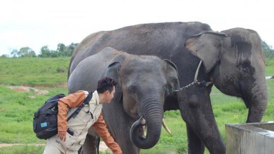 Viral Turis Ditampar Gajah Sampai Mental, Lucu Gan!