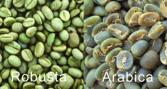 MENGENAL MACAM DAN CARA PENYEDUHAN KOPI
