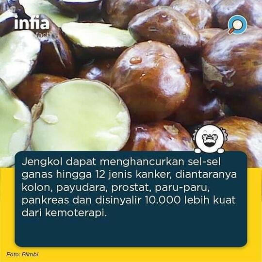 Balado Jengkol Geprek, Penambah Selera Makan, Kaya Manfaat