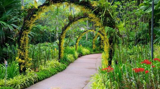 6 Keindahan Singapura Botanic Gardens Buat Para Penyuka Alam
