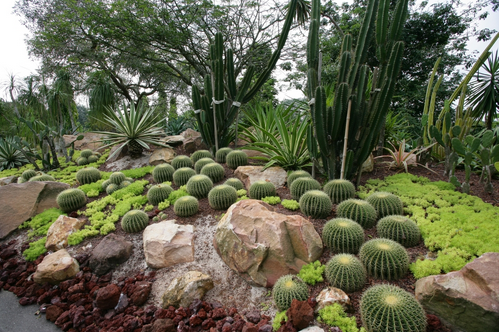 6 Keindahan Singapura Botanic Gardens Buat Para Penyuka Alam