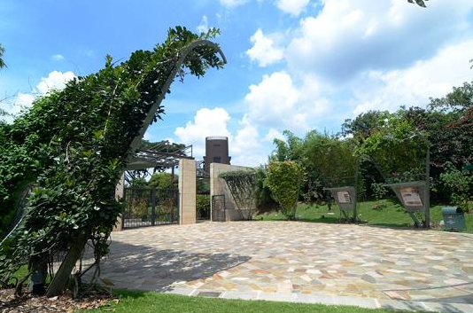 6 Keindahan Singapura Botanic Gardens Buat Para Penyuka Alam