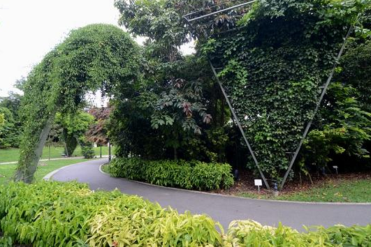6 Keindahan Singapura Botanic Gardens Buat Para Penyuka Alam