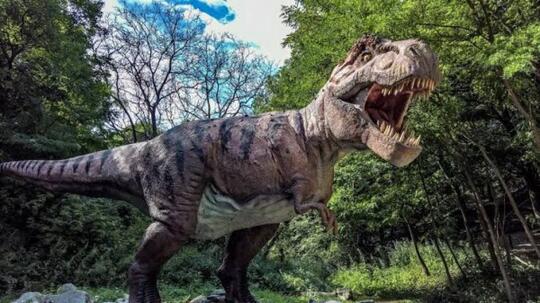 800 Gambar Dinosaurus Ganas Paling Keren 800 Gambar Dinosaurus Ganas Paling Keren