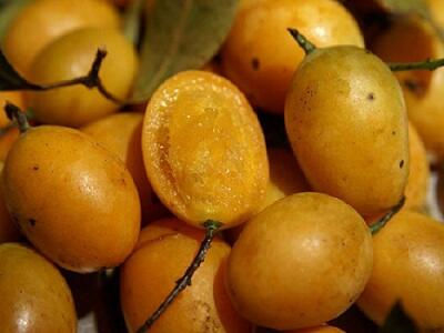 Nama-nama Kawasan di Jakarta Ini Diambil dari Nama Buah, Begini Penampakannya!