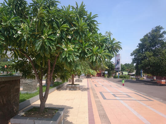 Nama-nama Kawasan di Jakarta Ini Diambil dari Nama Buah, Begini Penampakannya!