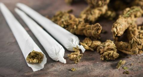 Sampingan Bisnis Ganja, Axl Roses Ditangkap di Batam