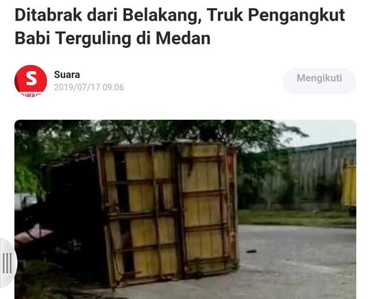 Ditabrak dari Belakang, Truk Pengangkut Babi Terguling di Medan