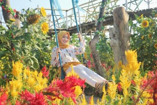 9 Wisata Taman Bunga Celosia Di Indonesia Yang Nuansanya Ala