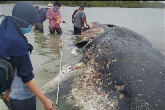 Sampah Plastik, Membahayakan Dan Juga Bisa Membunuh, Waspadalah ... Waspadalah!