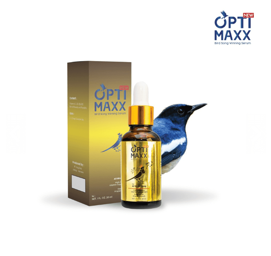 Balasan Dari Rahasia Gue Si Mungil Optimaxx Bikin Hobby Burung