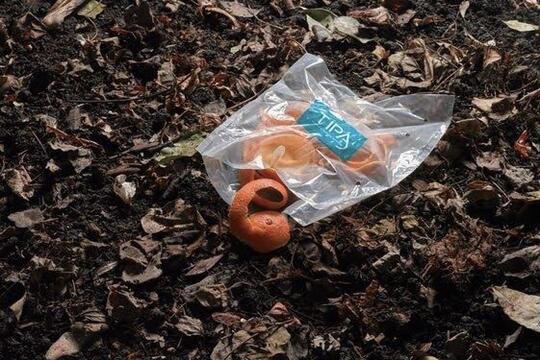 Ini dia 7 Alternatif Pengganti Plastik yang Sedang Hot 2019