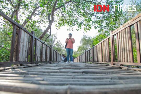 15 Potret Wisata Hutan Mangrove Surabaya Yang Instagramable