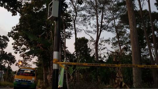 Bukan Sabotase, Blackout Jakarta Akibat 'Ulah' Pepohonan di Semarang