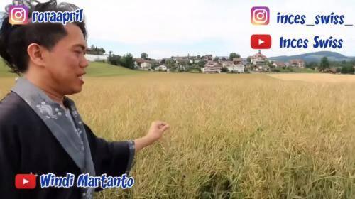 Wow ! Pria Asal Indonesia Ini Menikah Dengan Bangsawa Swiss