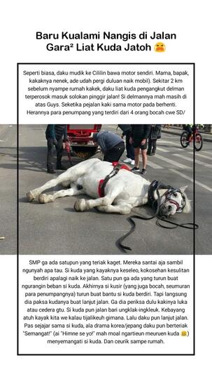 Kuda, Salah Satu Hewan Paling Berjasa Bagi Manusia Yang Kita Sia-Siakan 🤧