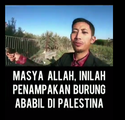 Viral Penampakan Burung Ababil Di Palestina Benarkah Ini