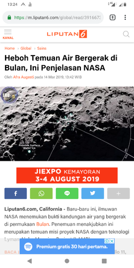 Viral Penampakan Burung Ababil Di Palestina Benarkah Ini