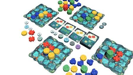 Belajar Budidaya Karang dengan Bermain Reef Board Game