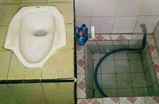 Anti Mainstream, Desain WC Ini Bikin Auto Pengen BAB