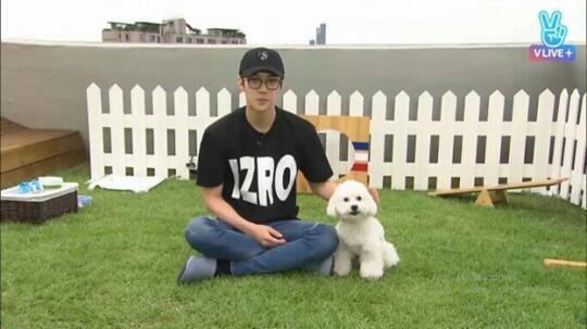 9 Potret Sehun Exo Dan Anjing Peliharaannya Bikin Fans Iri Dan