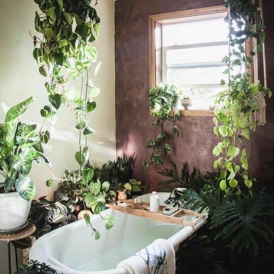 6 Inspirasi Bathtub Kekinian, Nomor Lima Yakin Nggak Mau Agan Coba?