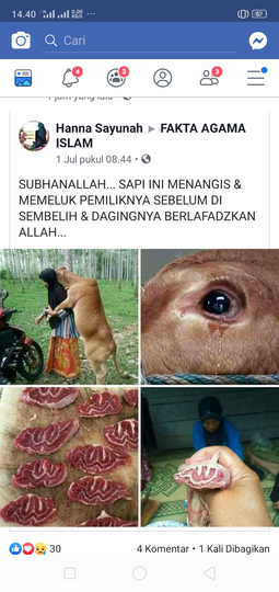 Suci Menemukan Daging Kurban Berlafaz Allah