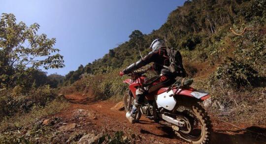 Mau Liburan Penuh Sensasi? Trail Adventure di Hutan Pinus Semeru, Wajib Dicoba!