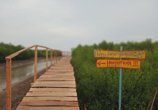 Pesona Pantai Mina Mangrove Wisata Baru Di Tunggulsari