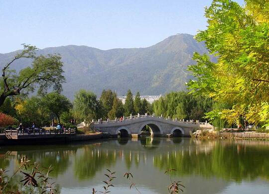 Indahnya di Kebun Raya Beijing, Ada Hamparan Bunga Tulip Juga!