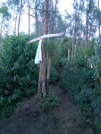 Gunung Kawi, Gunung Pesugihan yang menyimpan keindahan alam yang memukau