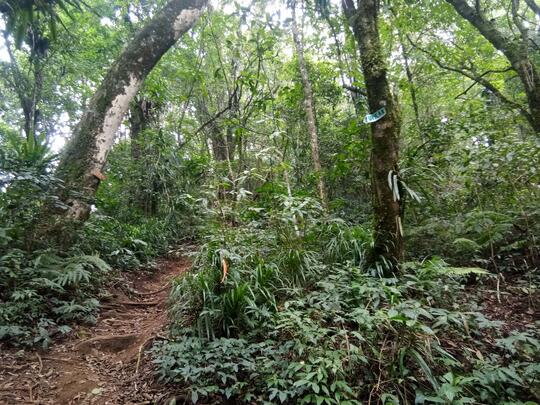 Gunung Kawi, Gunung Pesugihan yang menyimpan keindahan alam yang memukau