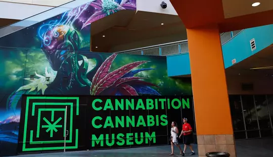 Museum Ganja Las Vegas Tampilkan Bong Tertinggi di Dunia