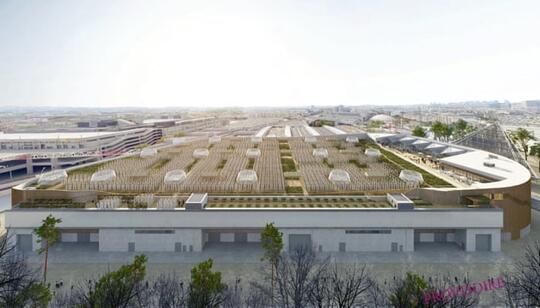 Anjay! 2020 Atap Gedung-Gedung Di Negara Ini Siap Dijadikan Kebun