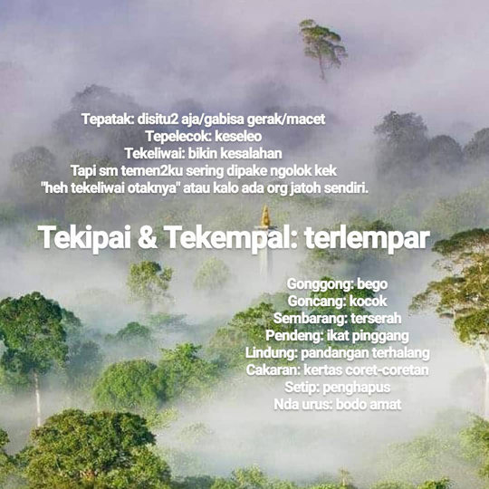 Sisi Positif & Negatif Ibukota Pindah (BONUS KAMUS GAUL KALIMANTAN TIMUR)
