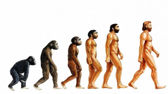 Teori Evolusi Tidak Pernah Mengatakan Manusia Adalah Keturunan Kera