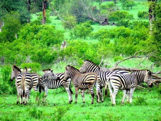 8 Potret Keindahan Yang Ada Di Afrika Selatan