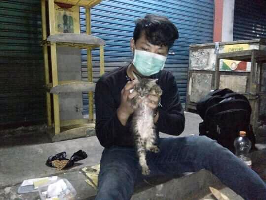 Viral Pemuda Memberikan Makanan dan Obat Ke Puluhan Kucing Jalanan, Mengharukan Gan!