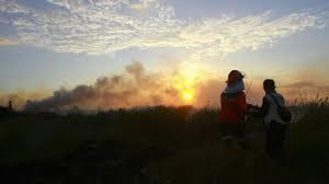 Malaysia akan Buat Hujan Buatan Usir Kabut Kebakaran Hutan RI