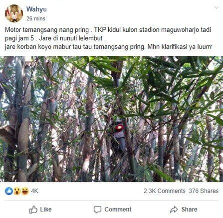 Motor Nyangkut di Pohon Bambu, Warganet: Katanya Bonceng Makhluk Halus
