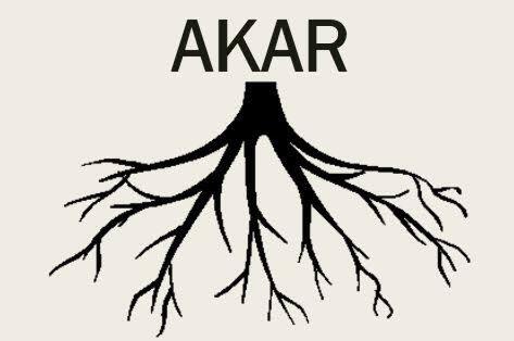 Apa Kamu Tahu Fungsi Dari Akar ?