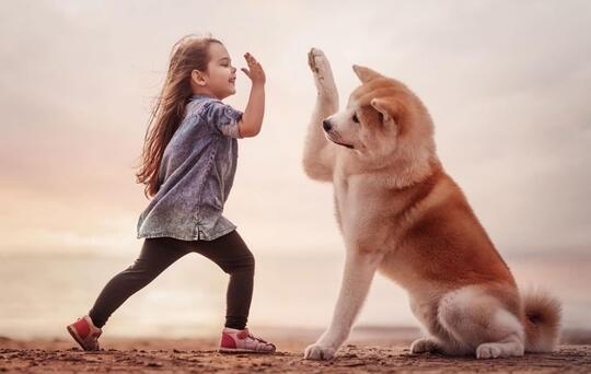 Anjing yang Setia Menunggu Pemiliknya hingga Akhirnya Bersatu 4 Tahun Kemudian